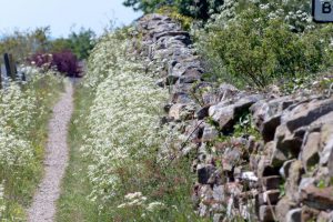 Public footpath m Hadrian's Wall nahe Brampton